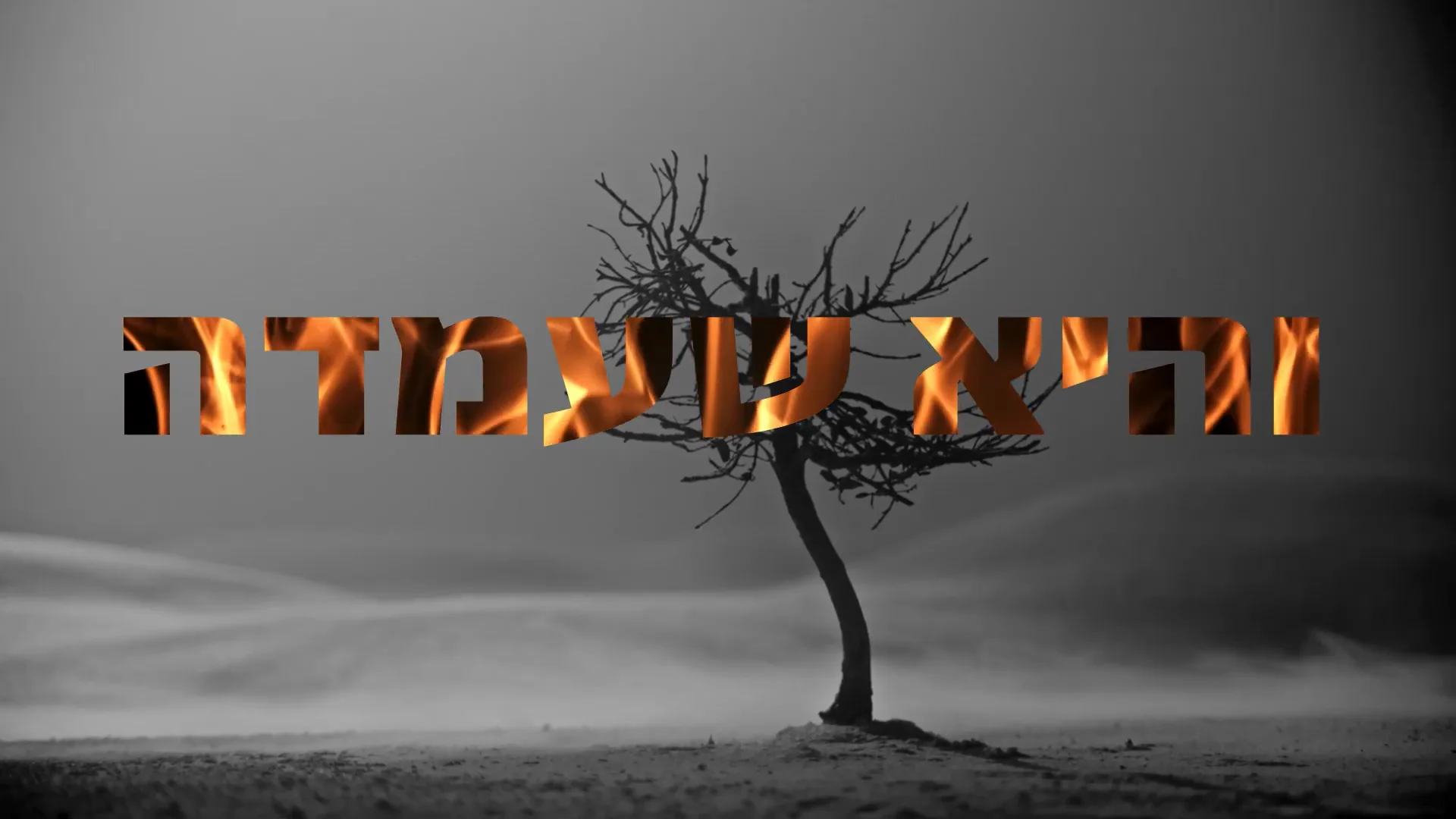 והיא שעמדה